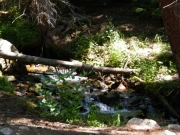 stream