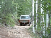 ed_on_the_trail