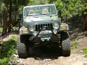austin_iii_on_the_trail