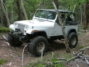 austin_iv_on_the_trail