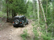 jed_on_the_trail
