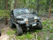 robert_on_the_trail