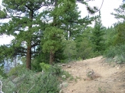 trail
