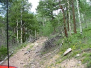 trail_less_traveled