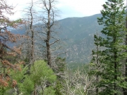 view_of_spring_creek