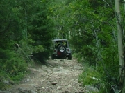 wayne_on_the_trail