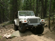 brian_flex_part_1