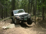 cheryl_flex_part_2