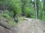 rocks