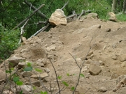 tippy_tracks