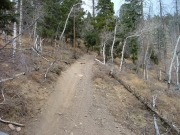 narrow_trail