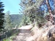early_trail
