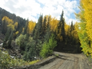 fall_colors