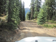 long_trail
