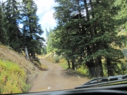 up_the_trail