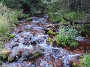 crooked_creek_part_1