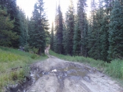 mud