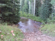 water_crossing