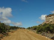 early_trail