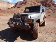 walt_muddy