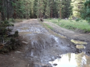 muddy_section