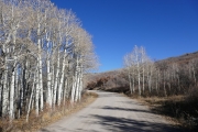 around_aspens