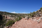 away_from_highway_141