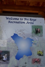 buckeye_sign_3
