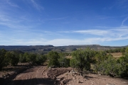 desert_view