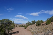 distant_la_sal_mountains