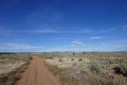 few_trees