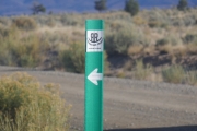 green_trail_sign