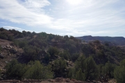 julie_on_the_trail