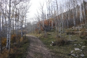 little-used_trail