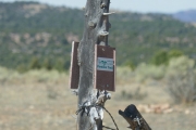 paradox_trail_marker