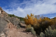 remote_trail
