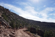 shelf_road