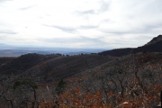 through_national_forest