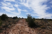 tracks