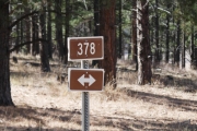 trail_378_in_manti-la_sal