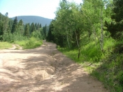 early_trail