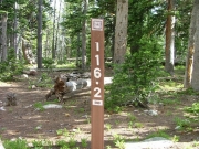 follow_116-2