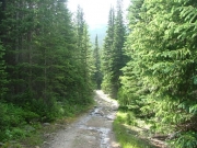 small_water_crossing