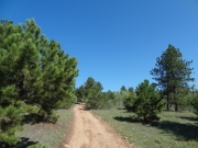 blue_skies