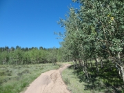 early_trail