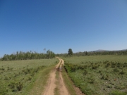 little-used_trail