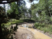 long_puddle