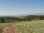 meadow_views