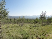 mountain_view