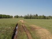muddy_ruts